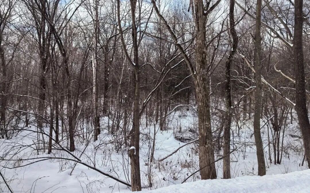 北交新股库存满满&农大科技申购前瞻