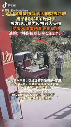“本来是偷，现在成抢了！”湖北，一男子因收入不高，就想通过偷东西补贴家用，路过梨