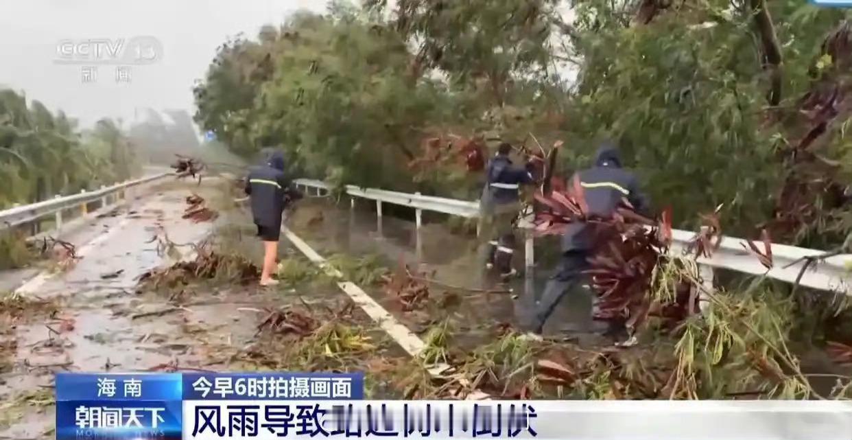 湛江全市停课看着挺吓人的，雨虽小但风挺大，树都吹断了，感觉人都容易被风吹走[允