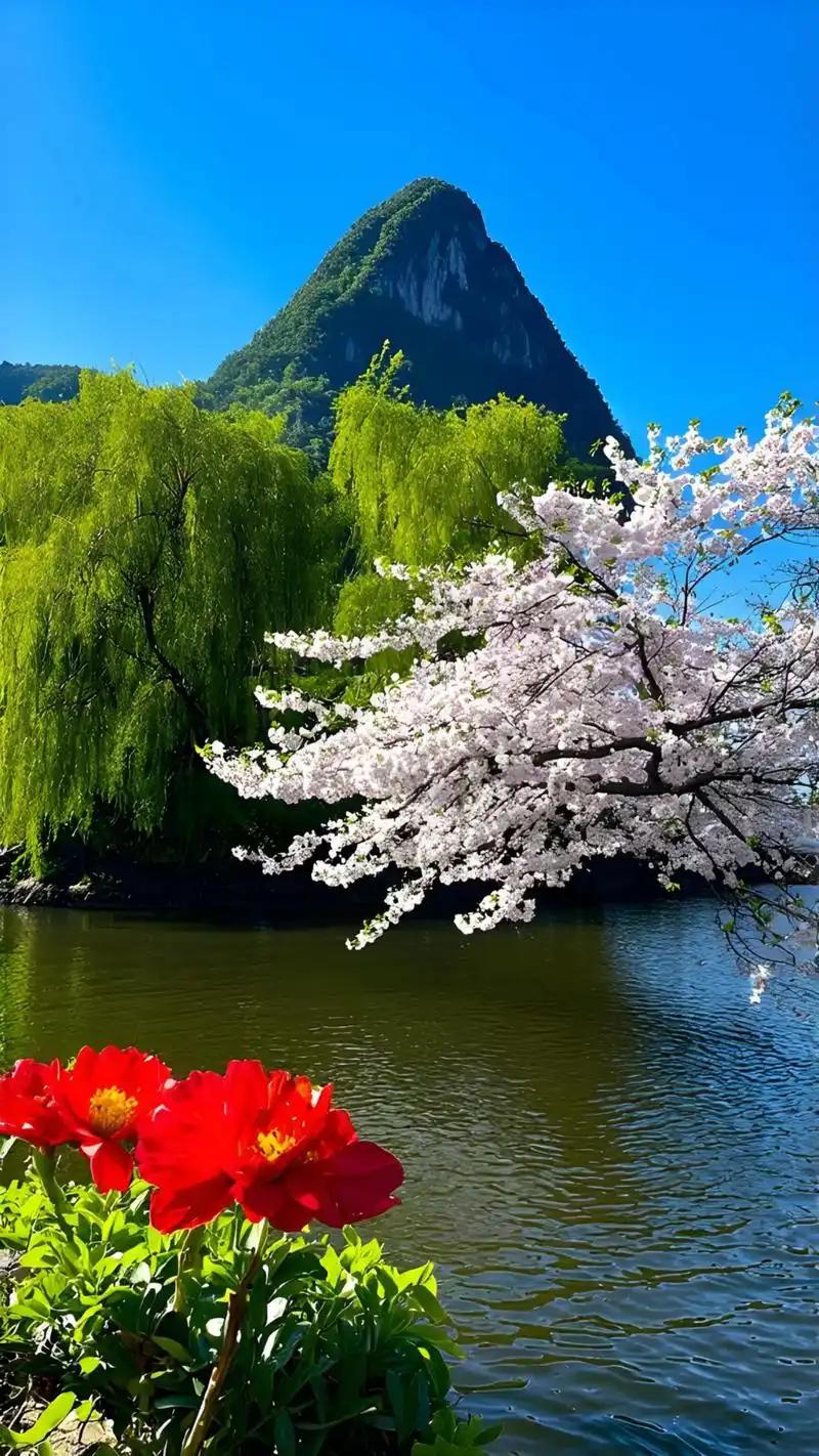 老人无德，家庭不和；老人没样，家庭不旺俗话说得好，家有一老，如有一宝。但这