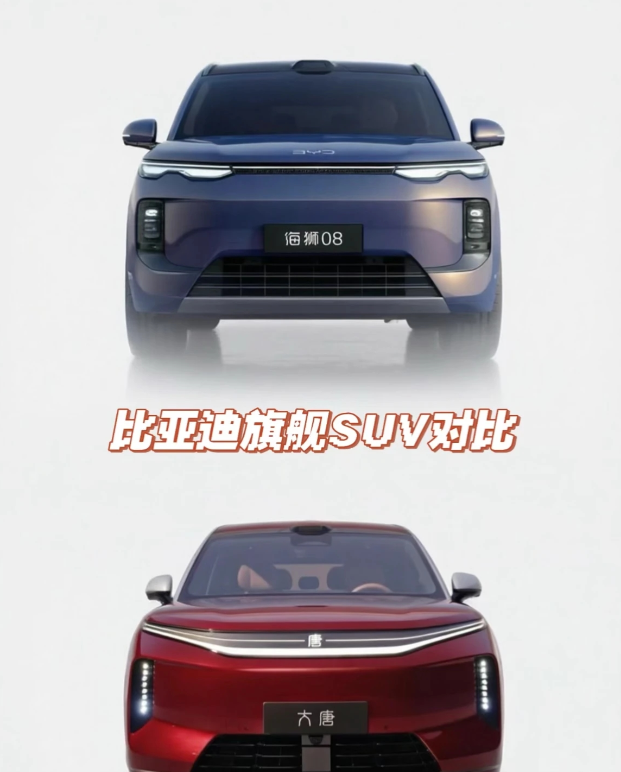 比亚迪大唐和海狮08你选哪个？
