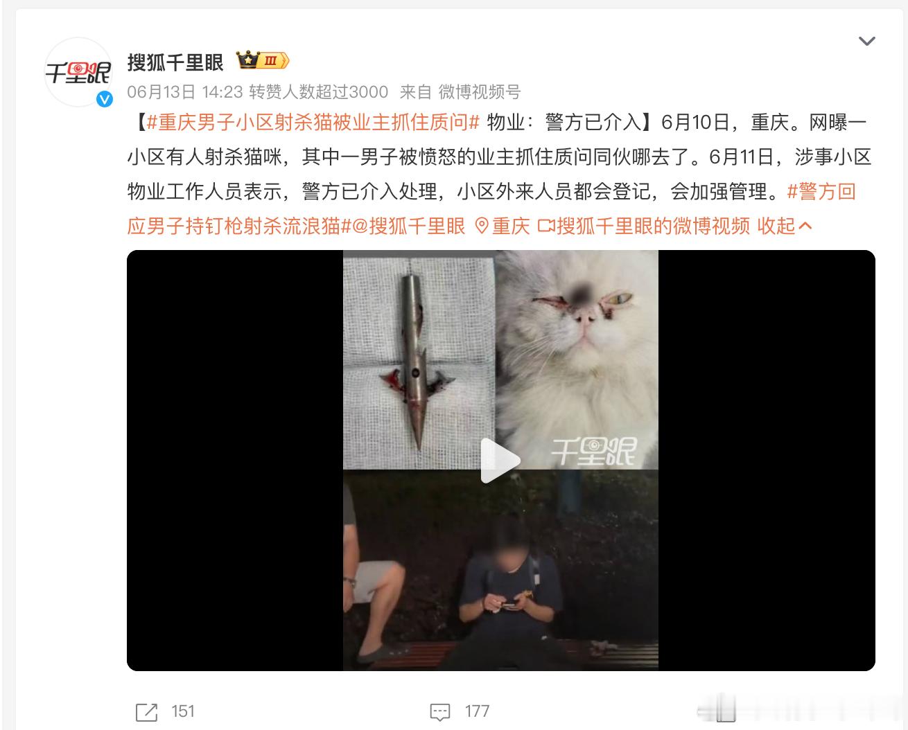 【官方辟谣两男子持钉枪射杀流浪猫】极端猫犬编造谣言，霉体们传播谣言，传播主力：贵