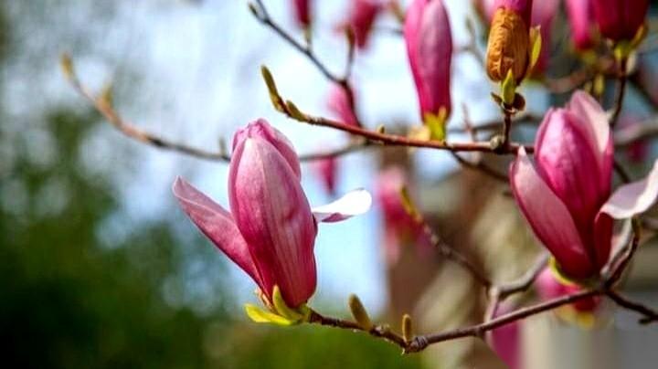 结婚这么多年，那是我第二次见这男人哭成个泪人。第一次是当年闹离婚，这一次，是因