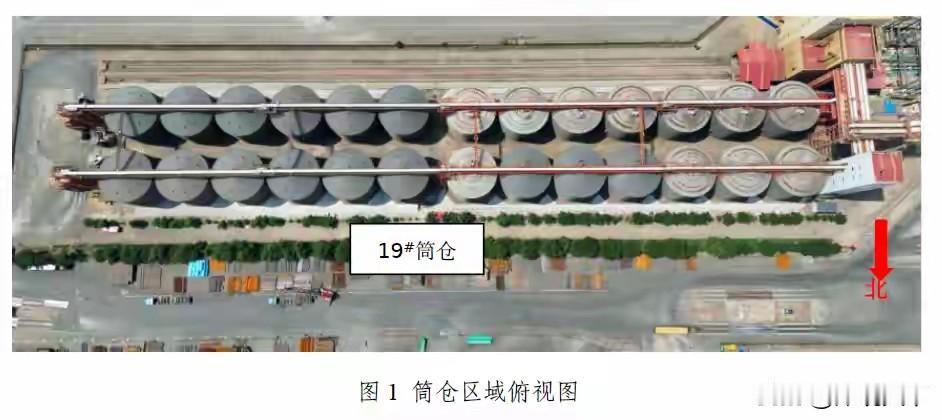 3条鲜活的生命，就因为多刨了几铲子大豆，瞬间被吞没！看到天津港“6·10”大豆筒
