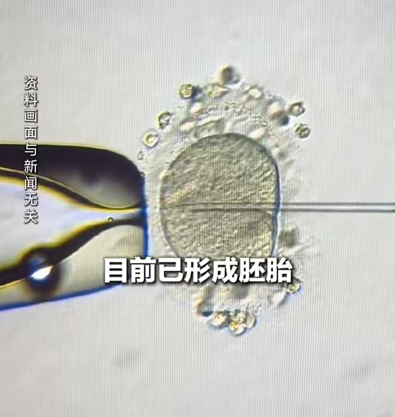 上海一起婚内伪造证件辅助生殖纠纷引发社会广泛关注，该案涉及婚姻忠诚、证件违法、胚
