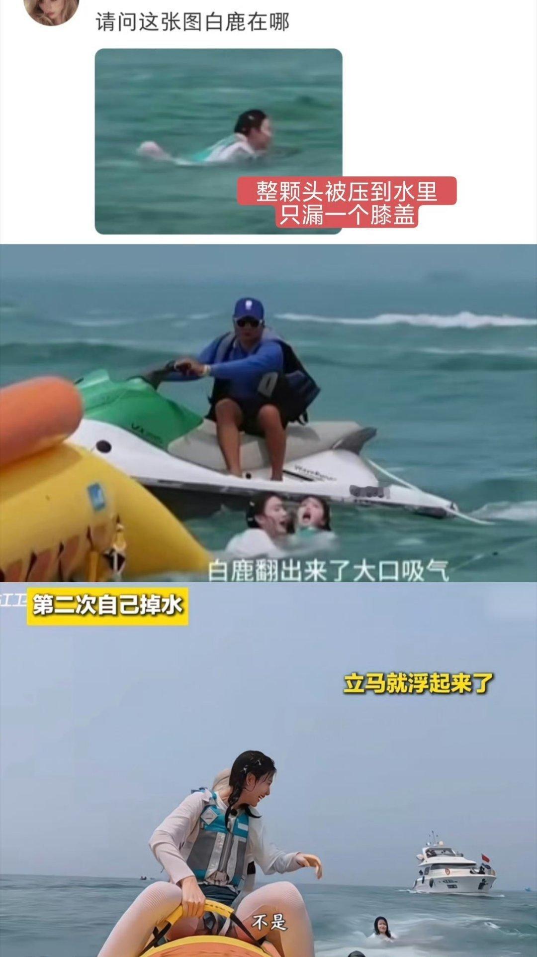 奔跑吧发现好多人在讨论孟子义救白鹿这个片段，有些yxh为了流量直接挑拨，孟子义当