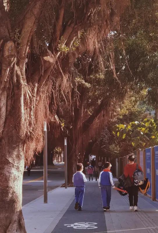 家长把孩子脱光放在室外晒黄疸家长把孩子脱光放在室外晒黄疸，着实让人揪心。宝宝出