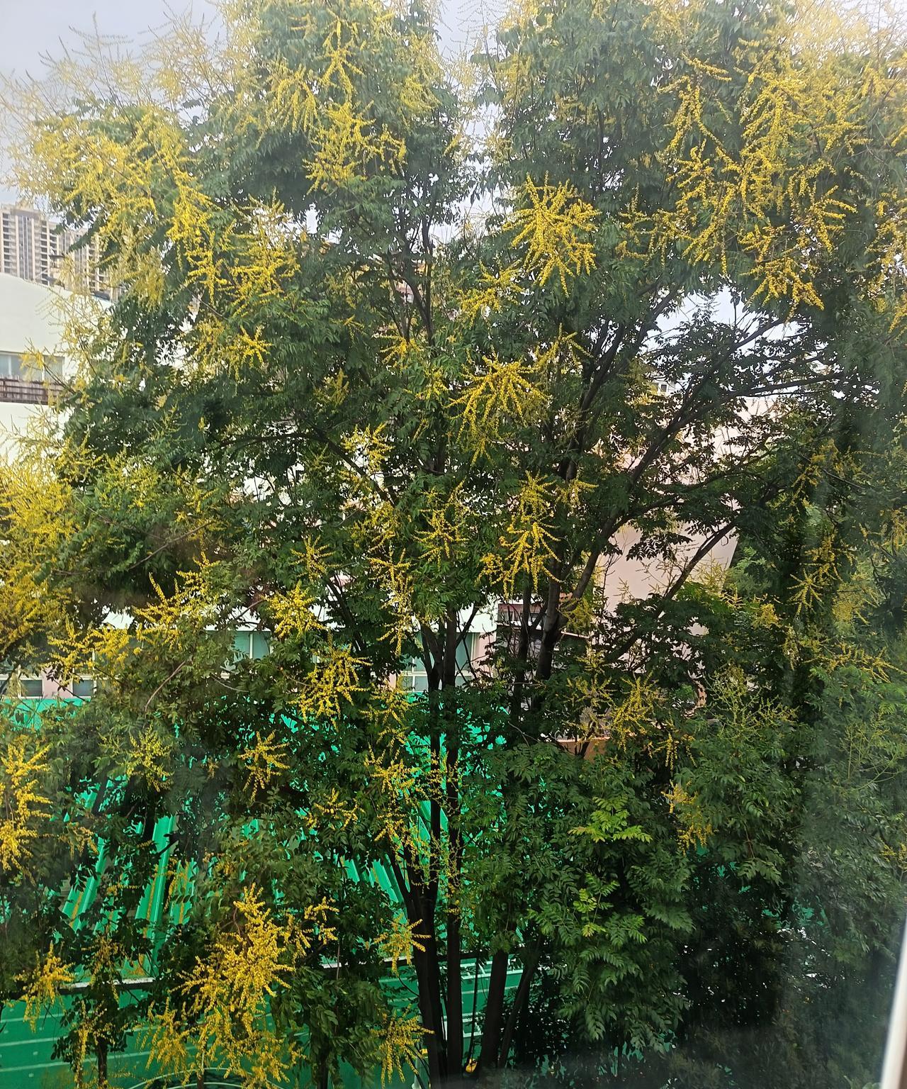 坐网约车的时候，和黑黑胖胖的中年司机师傅聊天。正好路过一所学校，司机师傅说：你