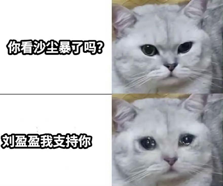 这段就是演我安利沙尘暴这段就是在演我疯狂安利沙尘暴的样子啊，是谁还没有看过202