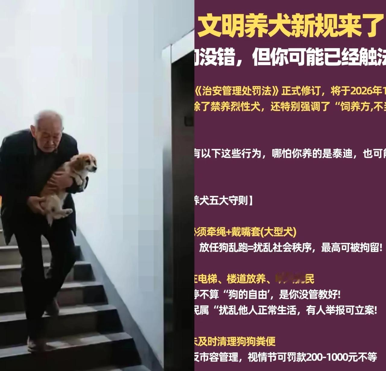 家人们，最近杭州养狗新规一出台，可把养狗人折腾坏了！尤其是住30楼的