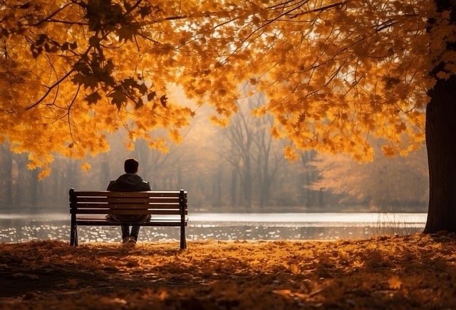 一个时代的困局：知识与信息泛滥，人们的生命感受却极度匮乏。人类，苦于自我更新的内