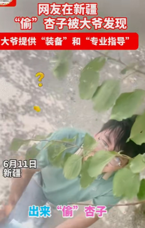 笑岔气了！一男子去新疆旅游，偷吃大爷家杏子，不料，被大爷发现，本以为大爷会骂人，