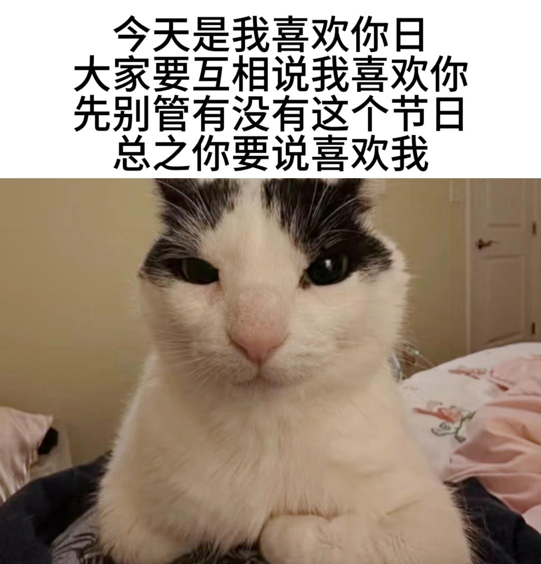 今日梗图​​​