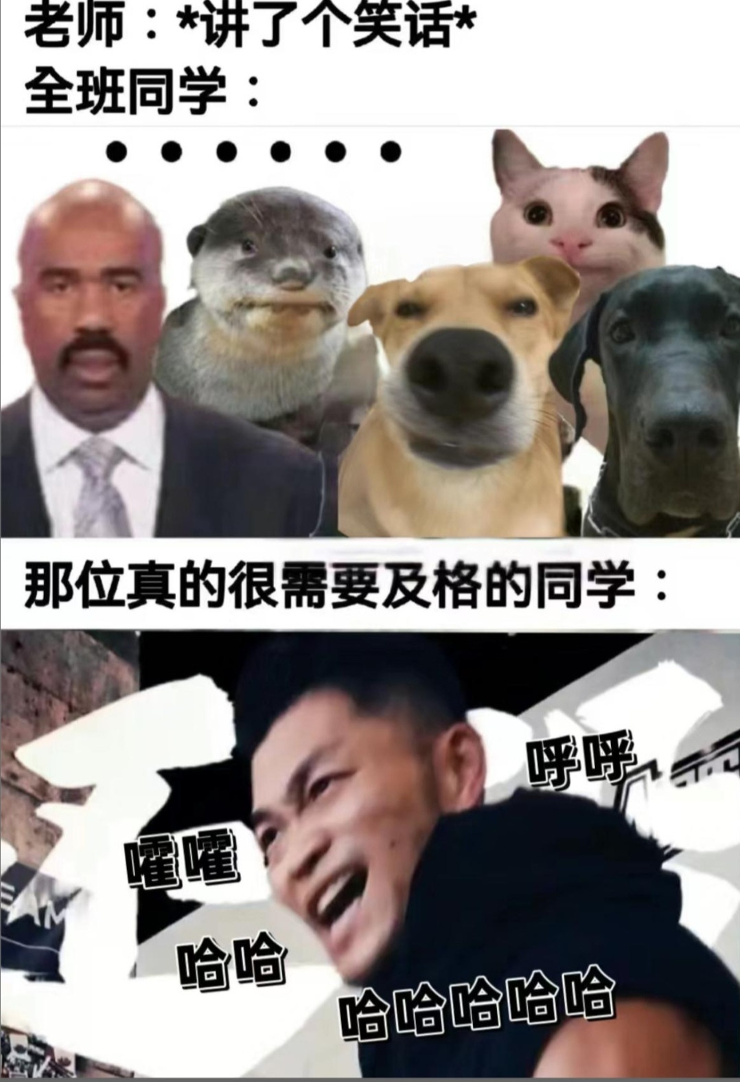 那位真的很需要及格的同学