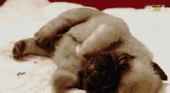 睡觉时身体突然抖一下，是“灵魂”在给你安装？真相来了你有没有过这样的经历？迷