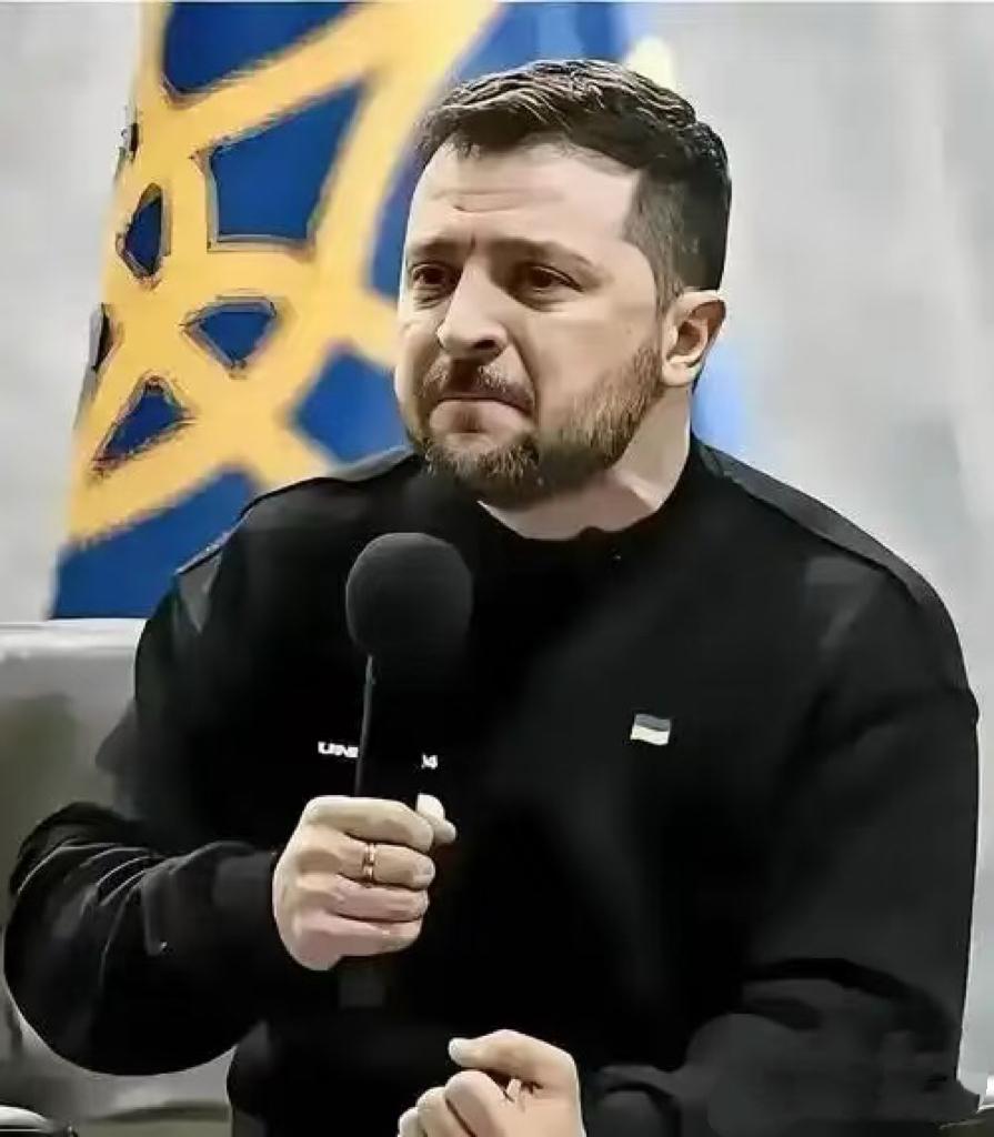 果不其然！乌克兰正式宣布立场！美方抛出的28点对乌和平草案，因包含割地、