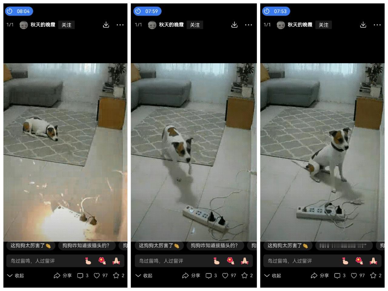 这天,一只狗狗趴在地毯上休息,它的主人都不在家,就它守在家里,就在它快要睡着的时