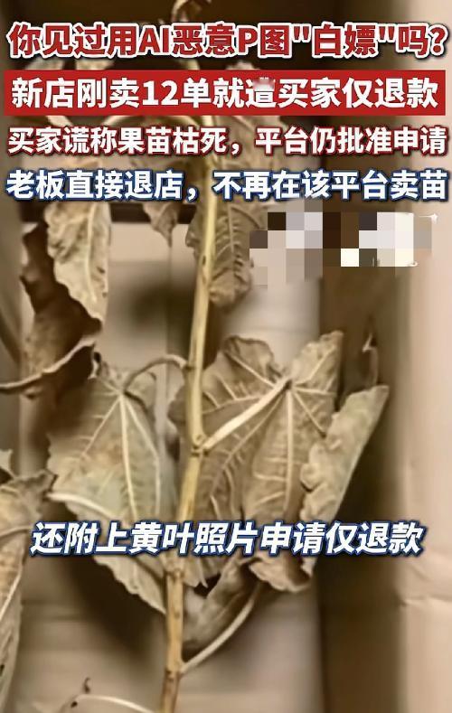 5月17日，新闻报道河北辛集种植户张先生在某直播电商平台卖无花果苗，新店刚开张，