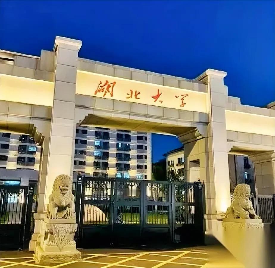 湖大保安岗要硕士？简历堆成山。别急着骂浪费，我扒完细则倒吸冷气：年薪包其