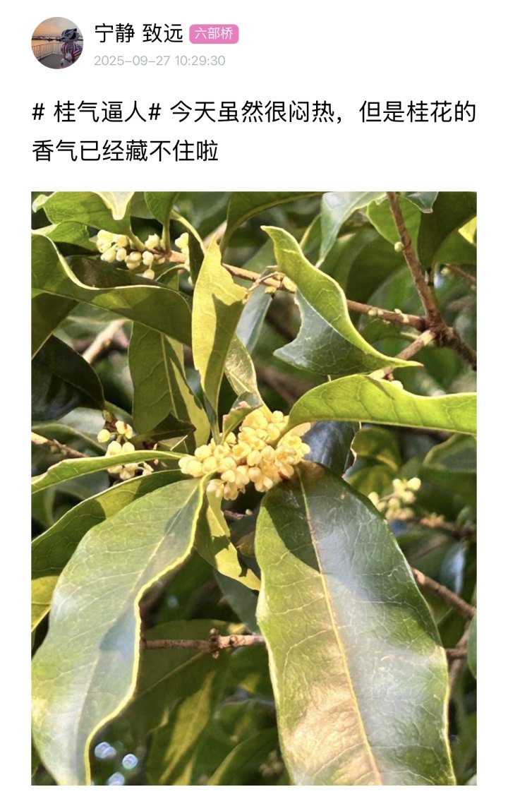 冷空气真的已经在路上了! 国庆假期天气也有消息了
