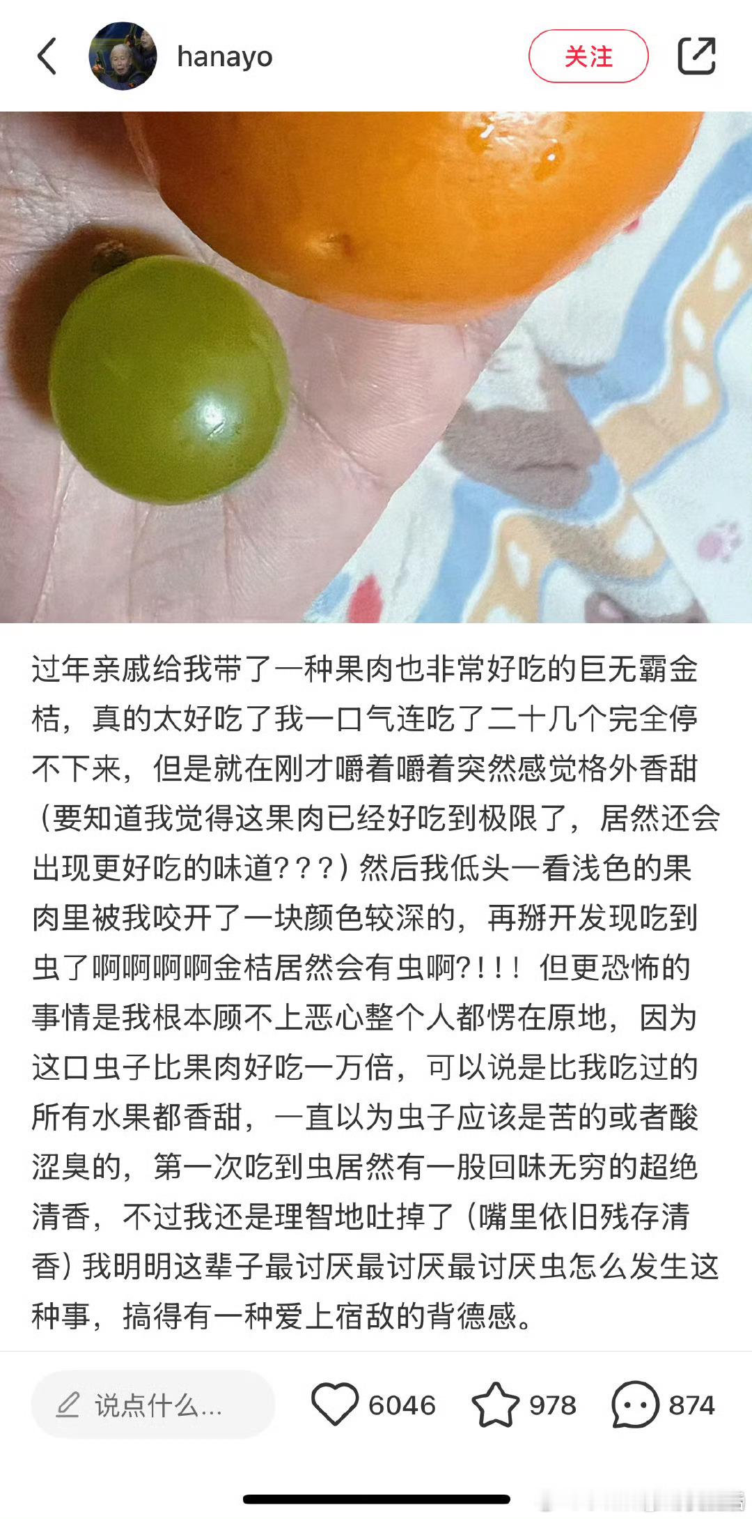 原来做小鸟是这种感觉！