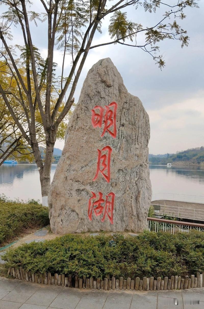 川渝人民都是向阳而生的，冬日都会追着阳光游玩，明月湖公园是周末的好去处，那里的湖