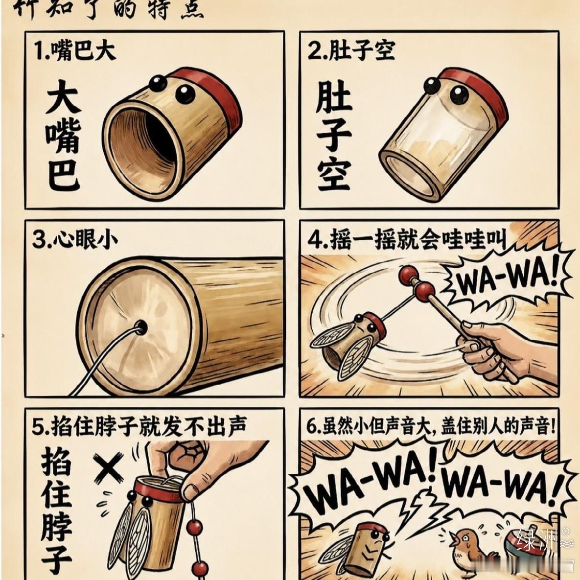 竹知了的特点​​​