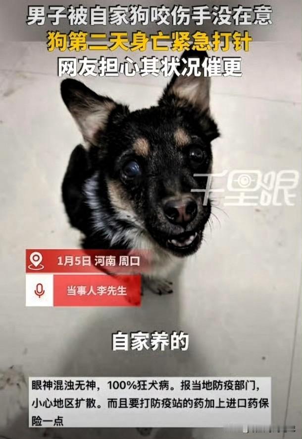 河南，一位李先生在家被狗咬一口，他拍拍屁股：“自家娃，没事！”可第二天，狗突然