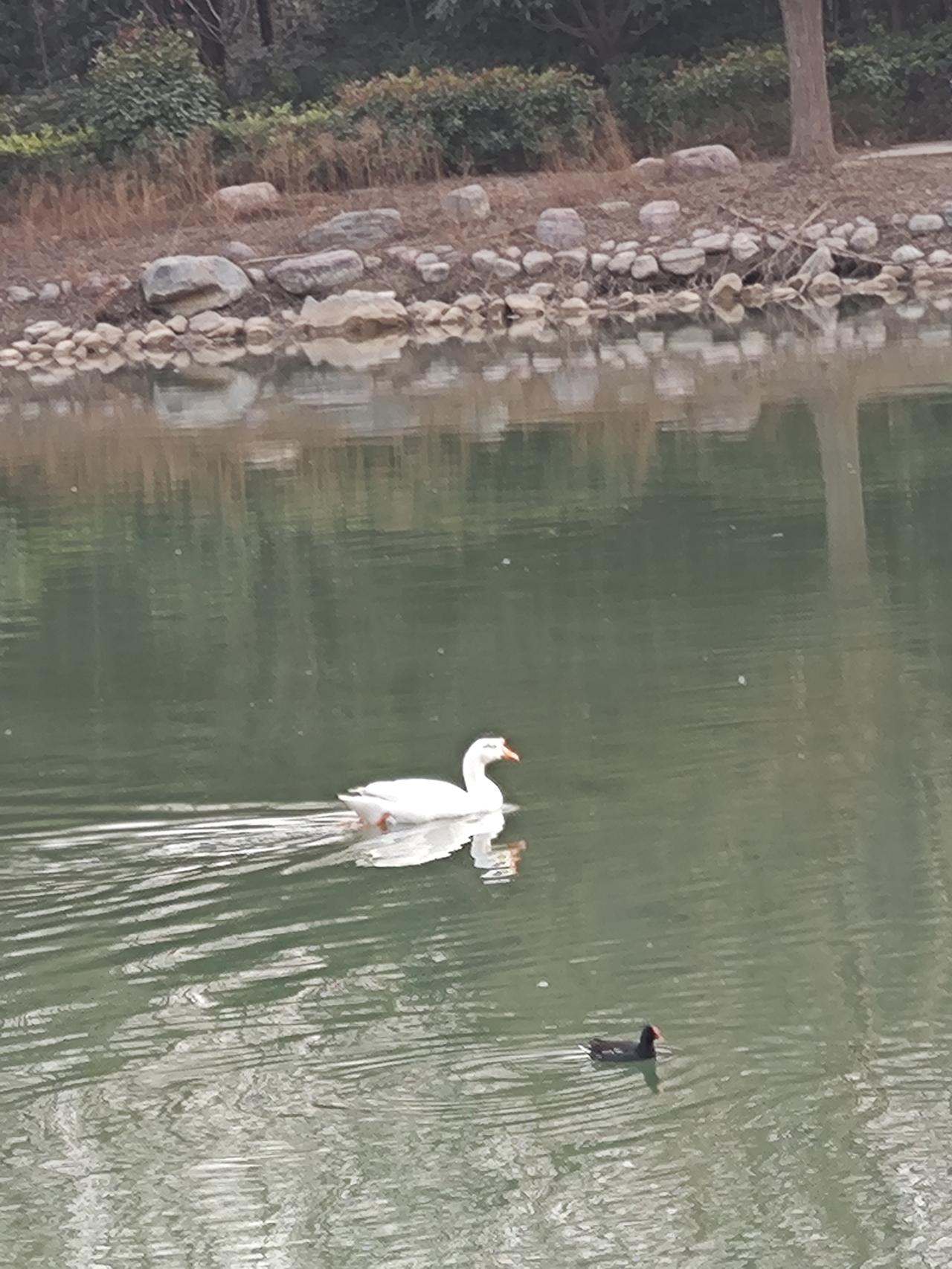 新的一年——管好自己的嘴马上就要过年了，过年回家，走亲访友，人多嘴杂，千