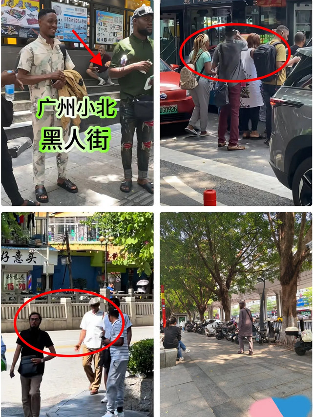 外籍非法滞留治理，广州打响