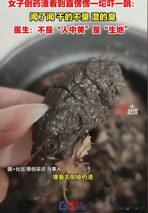 一女子去看中医，开了几副中药回家自己熬，当她将药熬好准备倒掉药渣时，万万没想到：
