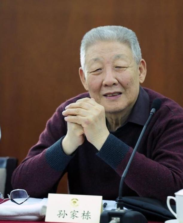 1950年的元宵节，准备回家的孙家栋，发现食堂竟然有红烧肉，一时馋嘴的他，便决定