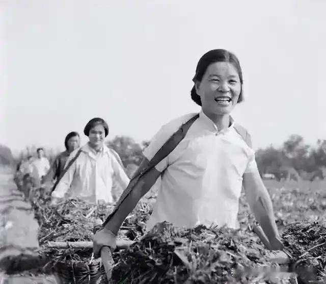 生产队时期，我村一个队长与本队一个年轻媳妇勾搭成奸。年轻媳妇的丈夫在县城一个厂子