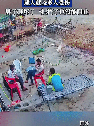 印度某地农村，一只疯狗突然闯进院子里看见人就咬！现场的几个印度男人竟无一幸免？