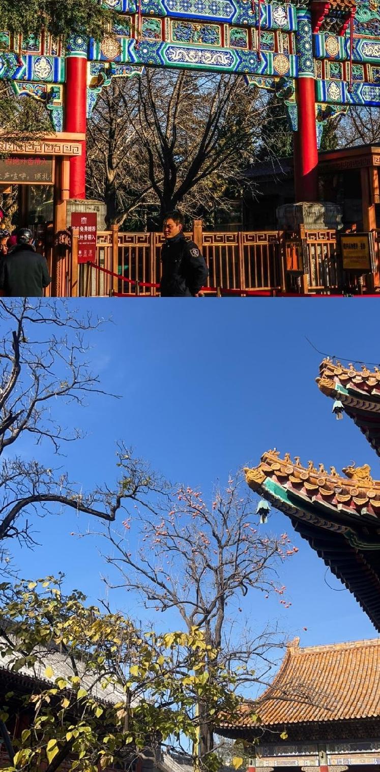 好消息！60岁老人免费入园啦！北京这波操作太暖心！从2026年开始，60岁以上老