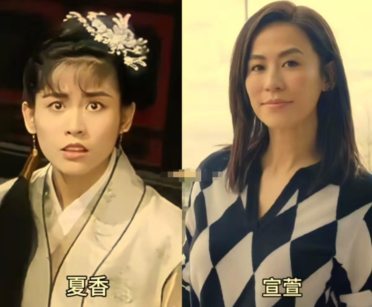 三十年后，我们才在4K高清里，看清那只印在一个男人脊椎骨上的凤凰。1993年，