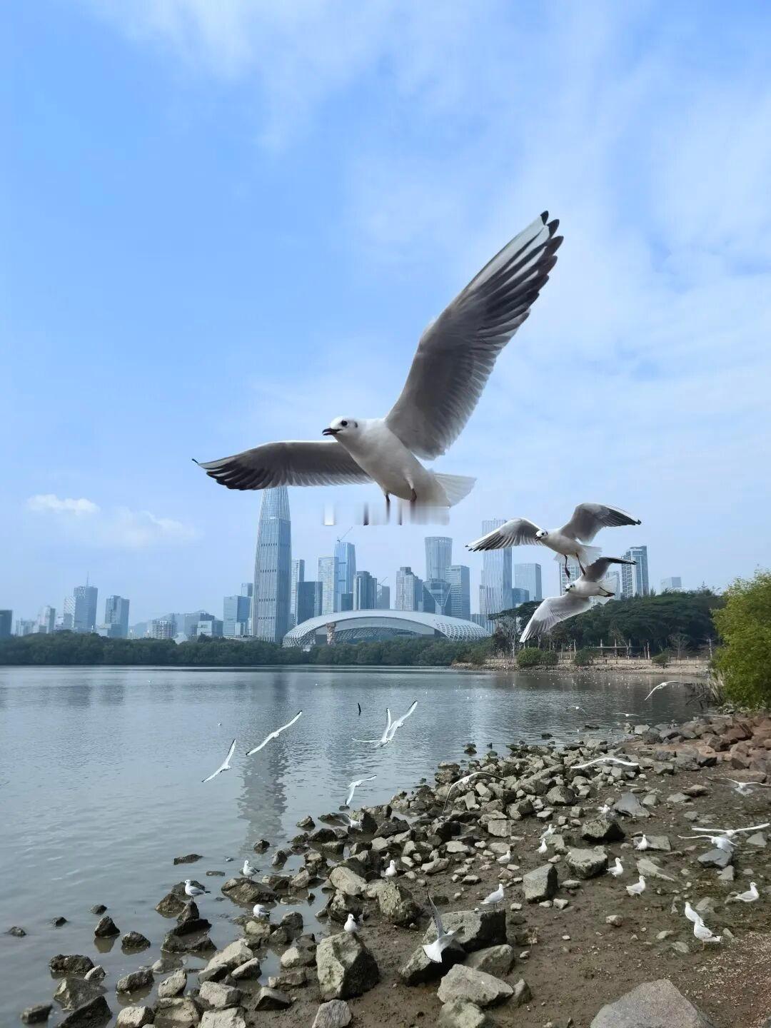 为什么有钱人普遍喜欢负债？在纸币时代，通货膨胀是永恒的，也就是说，从长远看，钱永