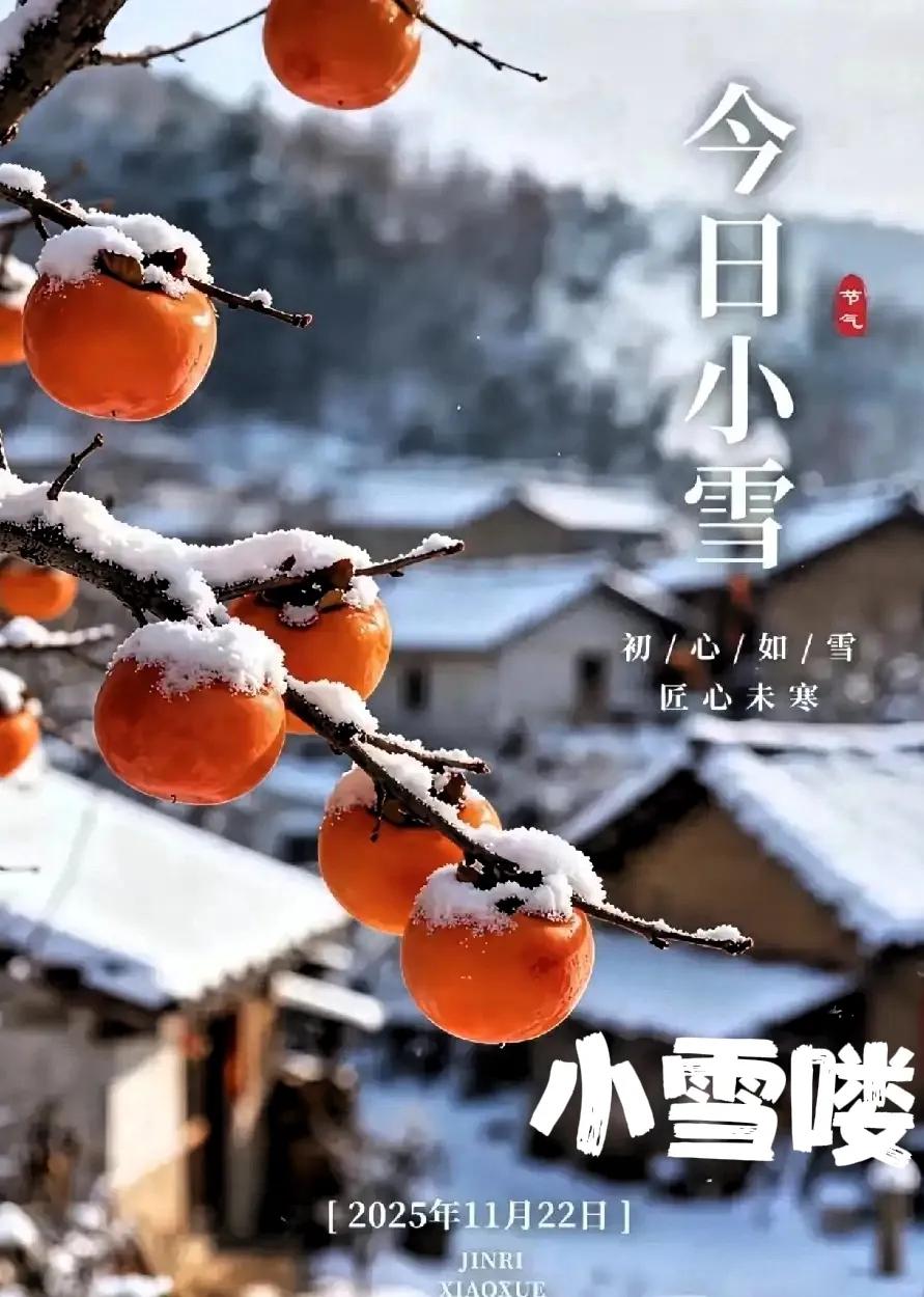 今年小雪太特殊了！60年一遇的早小雪，农历十月初三上午9点35分交节，老辈人说“