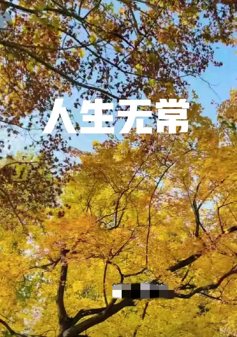 一夜之间，朋友的天塌了！万万没想到，她的妈妈，生日竟然成了祭日！朋友在上海打工
