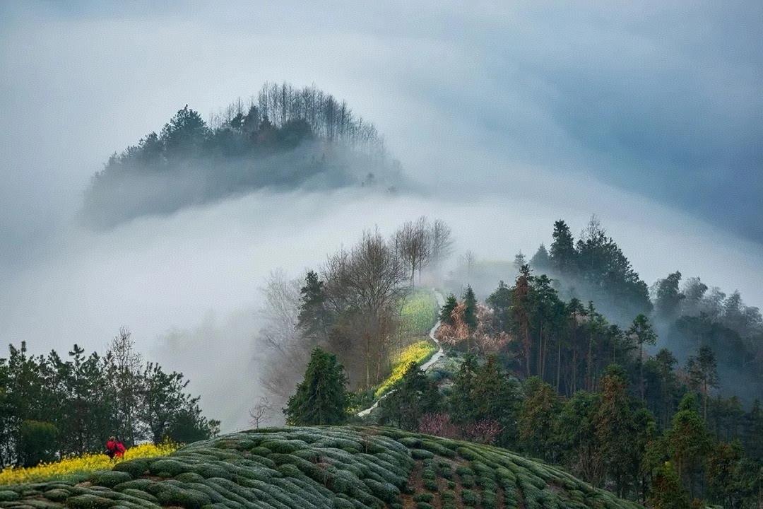 接待了一位C9毕业的学生家长，但是他们家的孩子成绩差得很，用家长的话来说觉得这