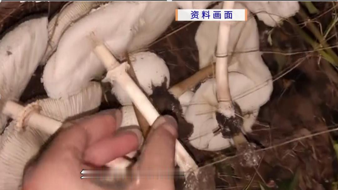 “悲剧还是发生了！”近日，广东惠州，一家属为给家中老人庆生，凭借着多年厨师经验上