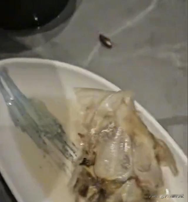 济南，一家人开开心心去吃饭，选定一家海鲜自助餐厅就餐，吃饭过程中，谁知道，一个“
