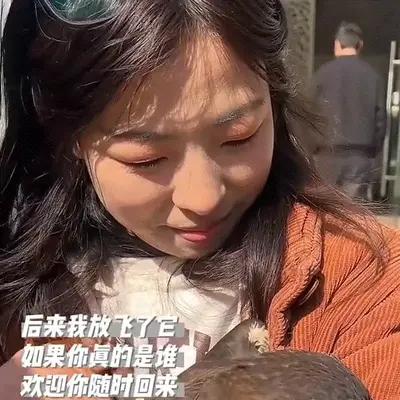 离谱！四川女子晒太阳，天降游隼扑进臂弯，女子当场懵了。四月的天气特别舒服，阳