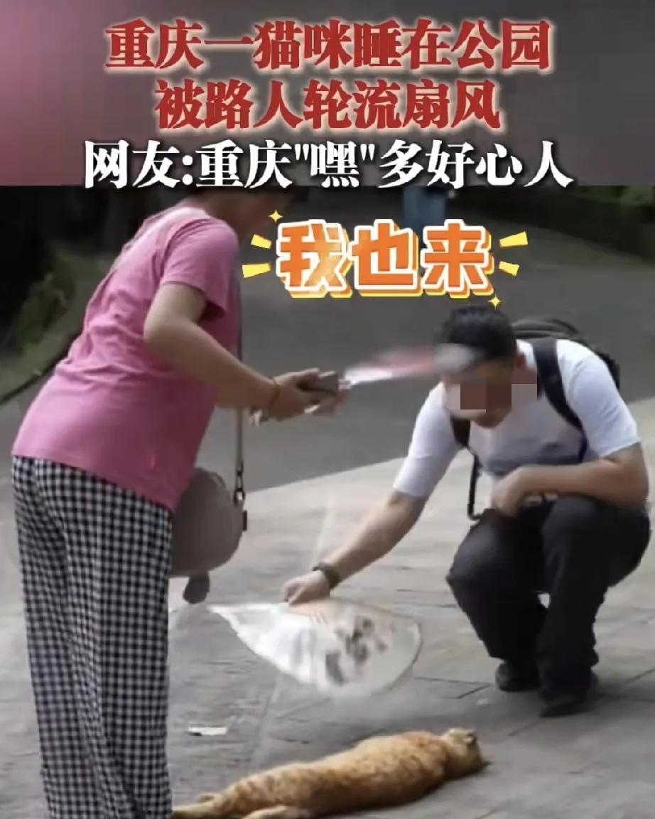太有爱心了，他们不是神，是心底善良的人，近日有网友发了一段视频，没想却收获了满满