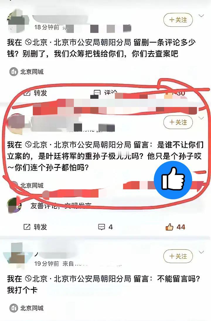 这届网友是真的牛！脑子活泛还敢发声，明明被“平安贝京”“朝阳分句”盯得紧，连