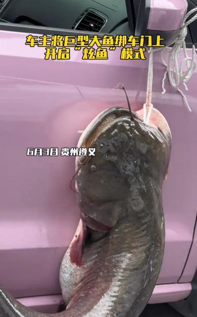 “这就是命啊！”6月3日，贵州遵义，一位老乡在自家池塘垂钓，本想轻松惬意