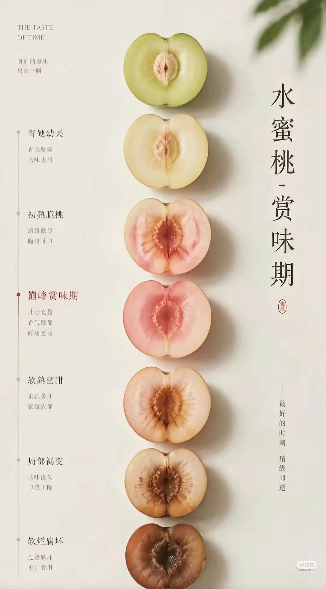 桃子​​​