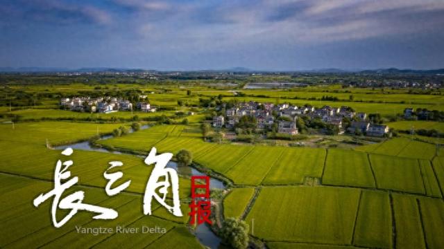 [长三角日报]汪华东主政安徽阜阳, 此前为淮北市委书记