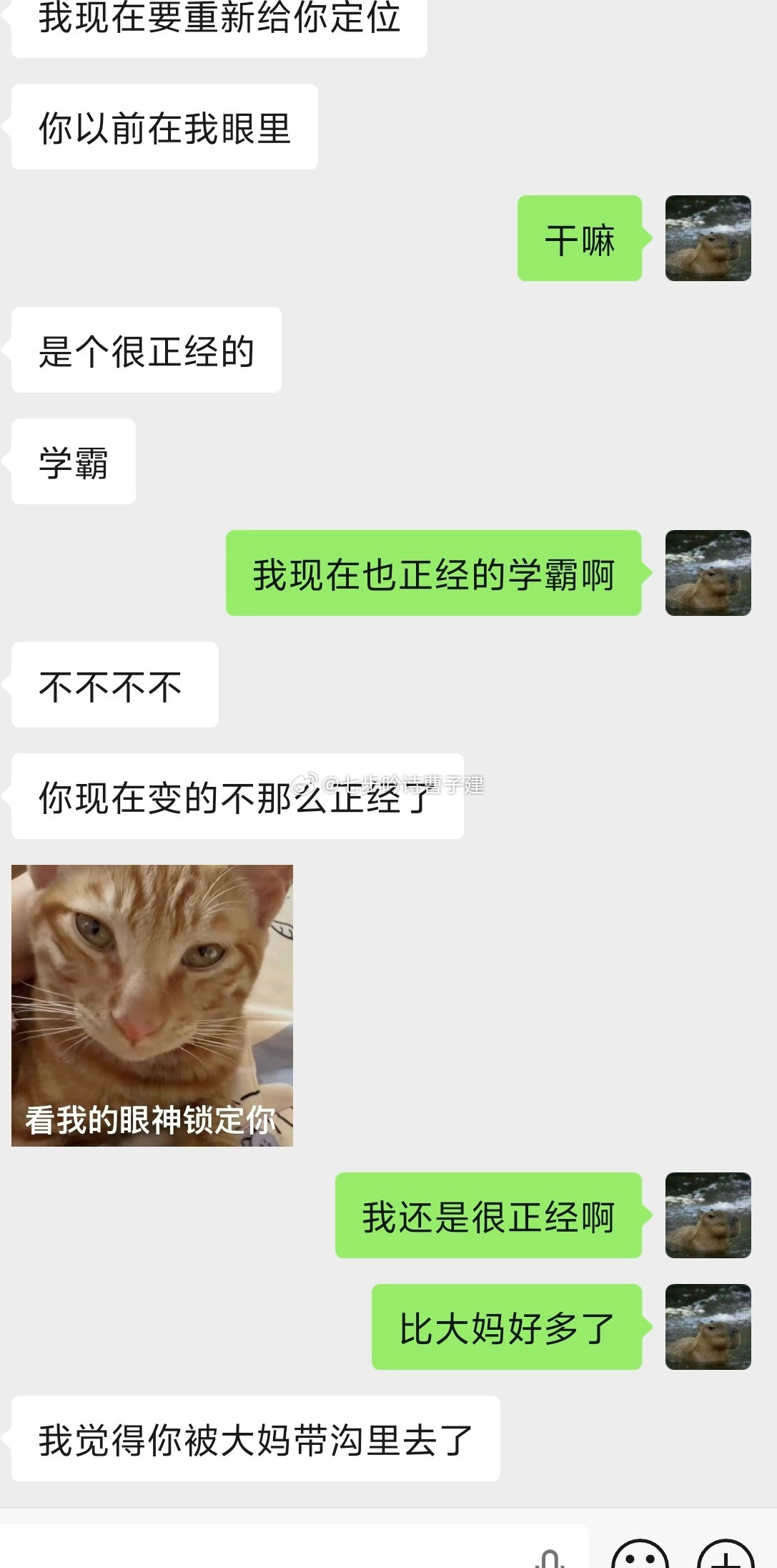 一切责任都在，漂亮小姐姐不理我了