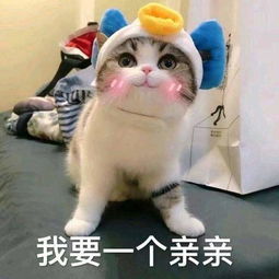 今天理直气壮当回小孩把成熟暂时打包，让幼稚自由冒泡。买根棒棒糖绕着花坛跑，看动